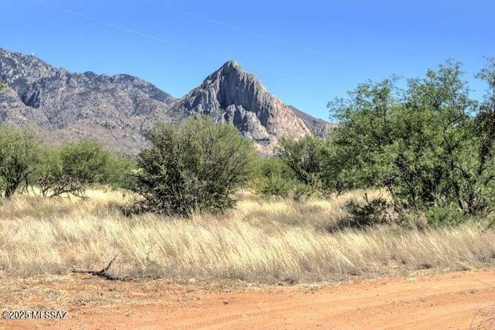 Currently Displayed Property Photo