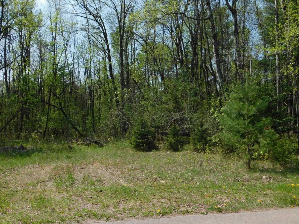 Currently Displayed Property Photo